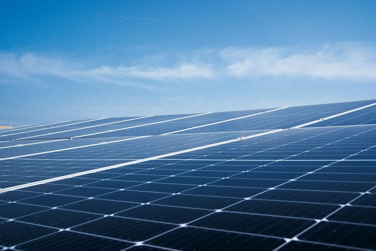 Rows of blue solar panels under a clear sky